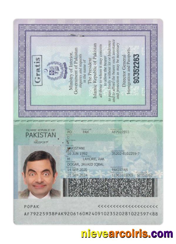 Pakistan passport 2020-present